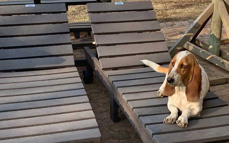 recycled-plastic-furniture-outdoor-lifestyle