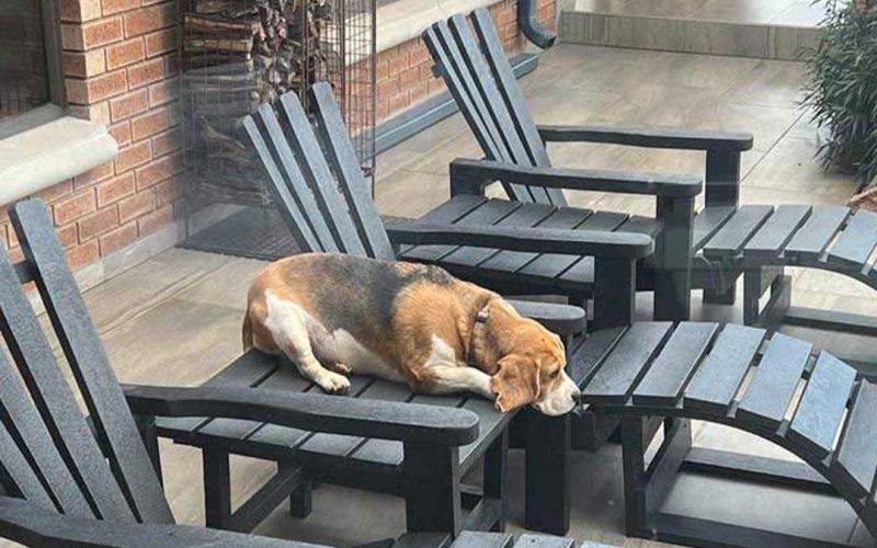 recycling-plastic-furniture-solutions-ballito